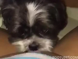 ZooTube1.com
